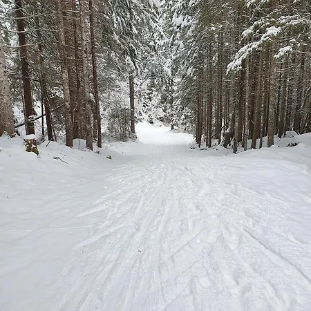 Les Contamines Montjoie アパート *