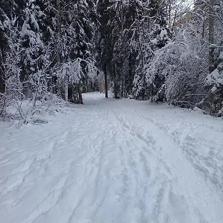 Daire Les Contamines Montjoie Les Palmes D'or