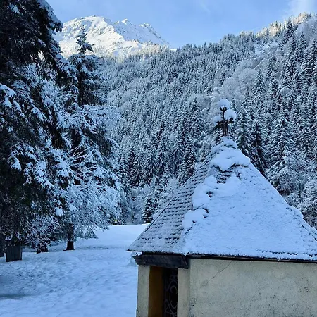 Daire Les Contamines Montjoie Les Palmes D'or Le Cugnon