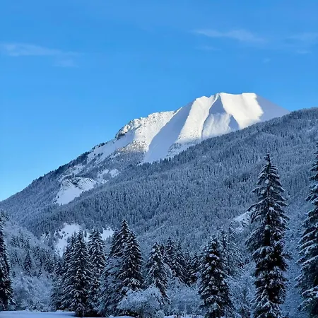 Daire Les Contamines Montjoie Les Palmes D'or